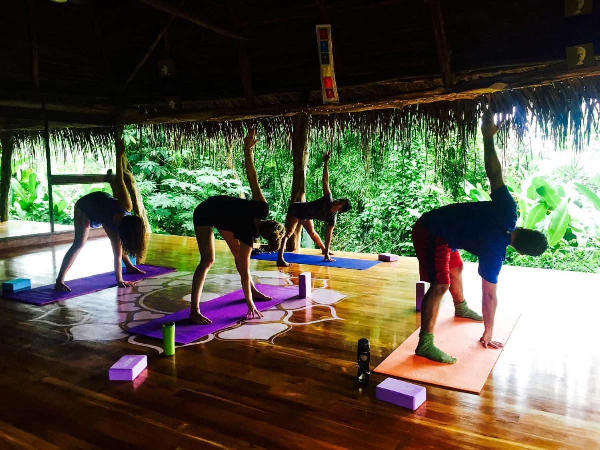 Jungle Lodge At Wild Sun Rescue Center Cabuya  Bagian luar foto