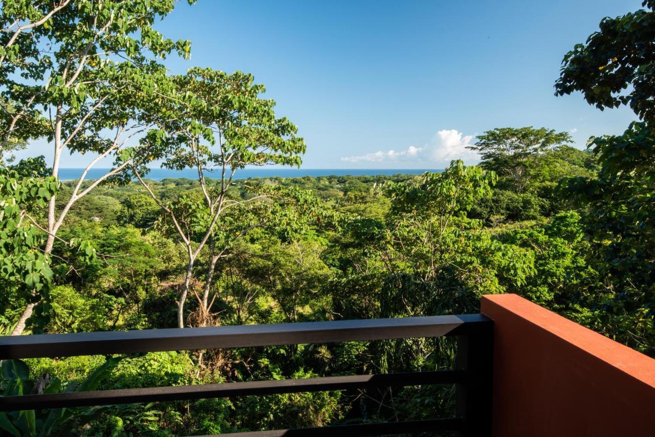 Jungle Lodge At Wild Sun Rescue Center Cabuya  Bagian luar foto