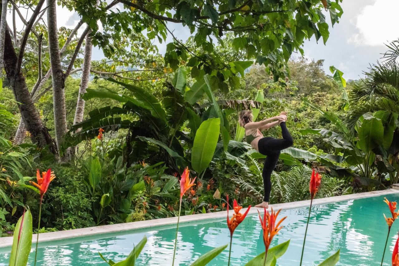 Jungle Lodge At Wild Sun Rescue Center Cabuya  Bagian luar foto